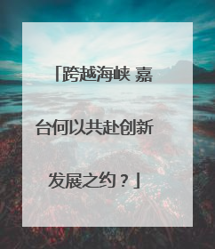 跨越海峡 嘉台何以共赴创新发展之约？